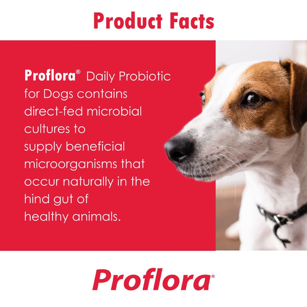 proflora-probiotic-soft-chews-for-dogs-v-5.jpg
