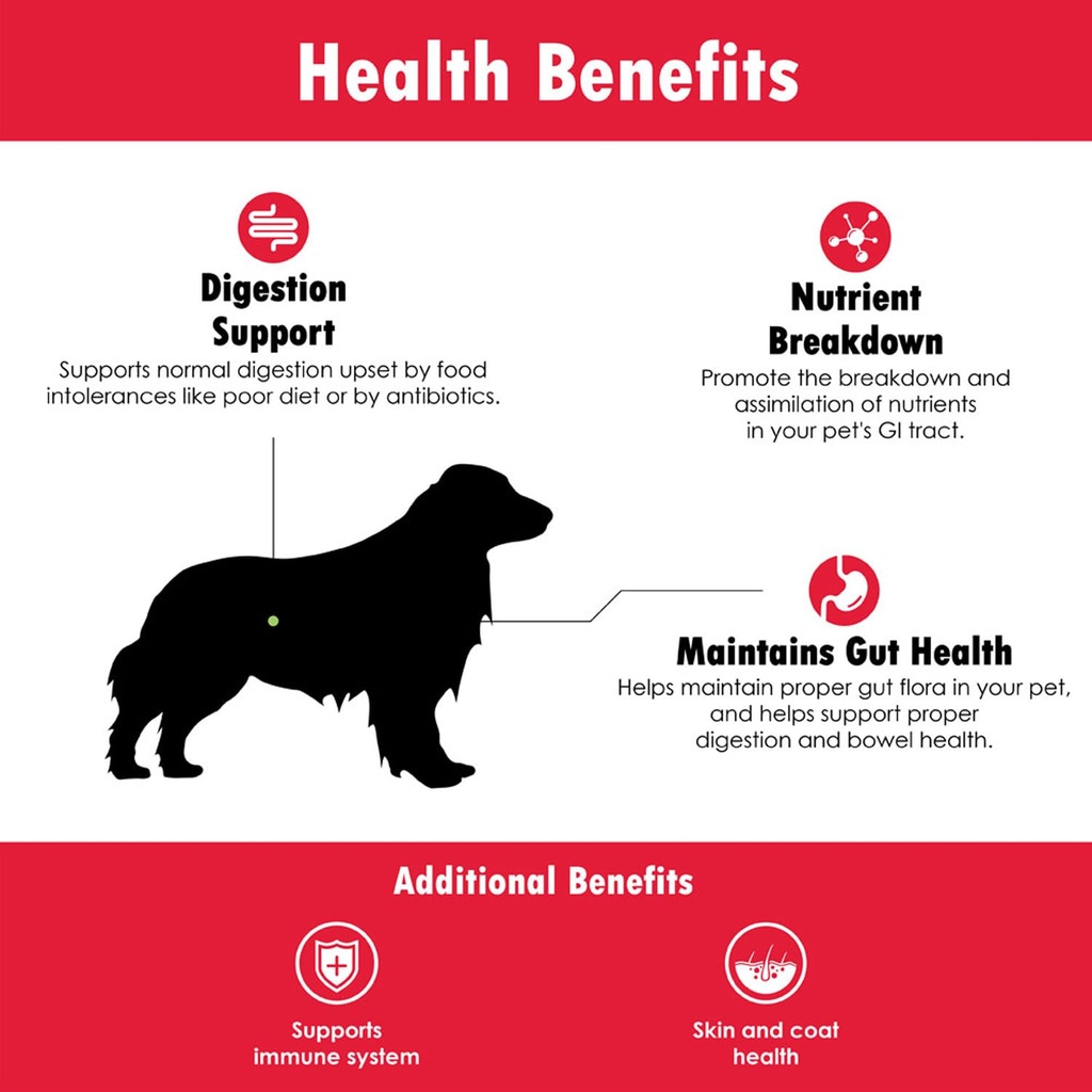 proflora-probiotic-soft-chews-for-dogs-v-6.jpg