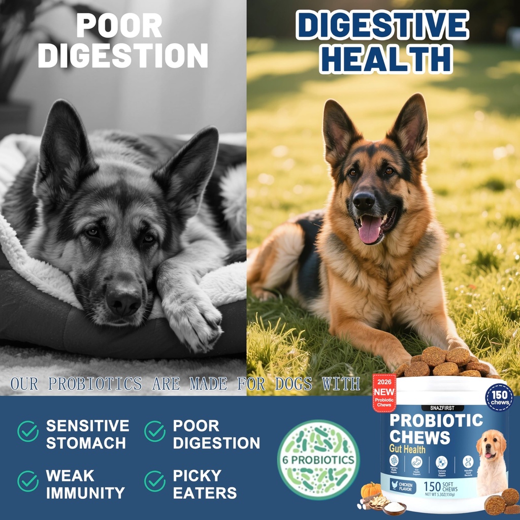 probiotics-for-dogs-dog-probiotics-chews-4.jpg