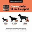 justfoodfordogs-10-in-1-supplement-for-d-6.jpg