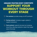 true-grace-electromag-grapefruit-16-stic-5.jpg