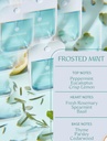 powerful-hand-sanitizer-mist-by-touchlan-5.jpg