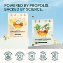 beekeepers-naturals-ginger-lemon-lozenge-3.jpg
