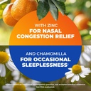 zicam-cold-remedy-original-nighttime-rap-4.jpg