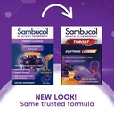 sambucol-black-elderberry-throat-lozenge-2.jpg