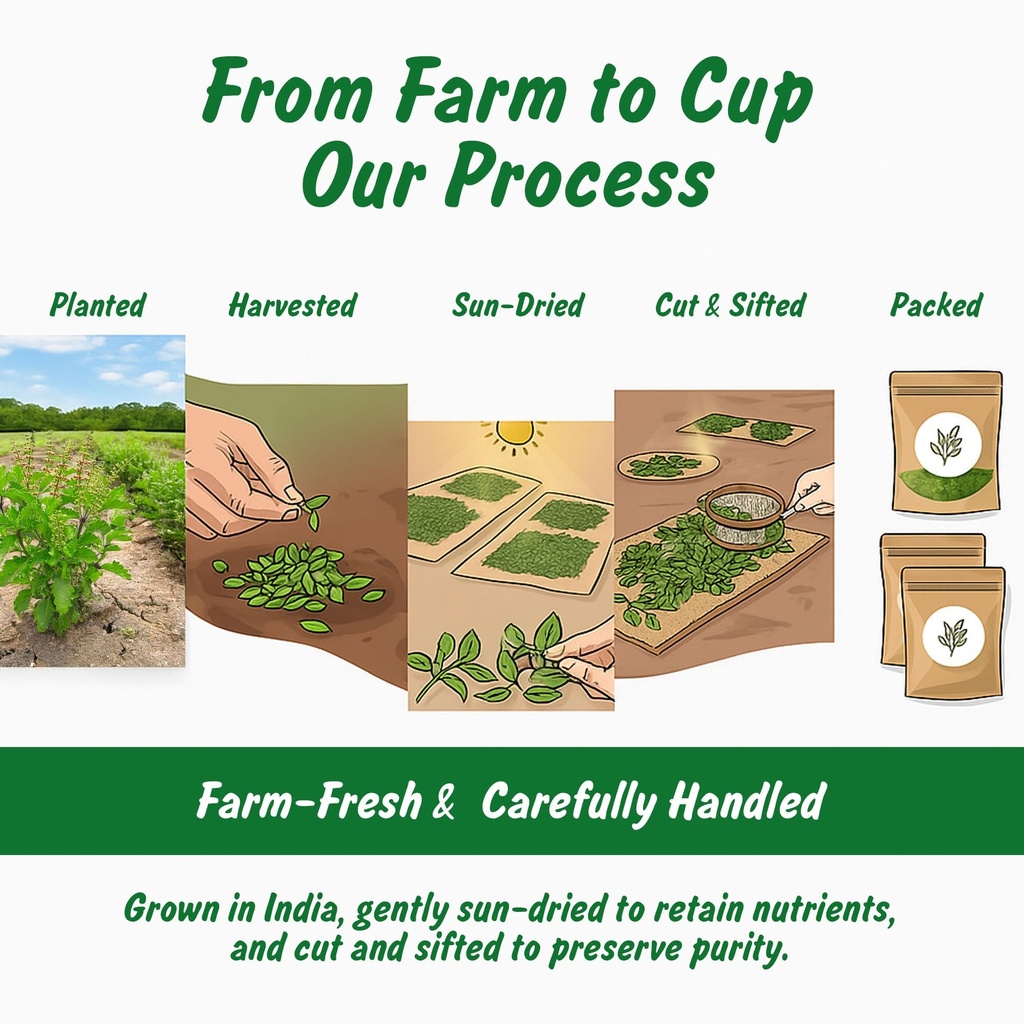 spice-profile-organic-indian-tulsi-cut-s-3.jpg