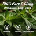 spice-profile-organic-indian-tulsi-cut-s-4.jpg