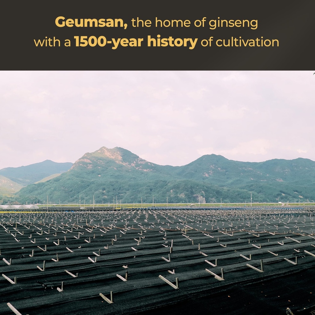geumheuk-korean-black-ginseng-capsule-10-4.jpg