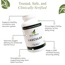 vascular-support-supplement-l-arginine-g-5.jpg