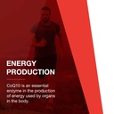 protocol-for-life-balance-ubiquinol-100--3.jpg