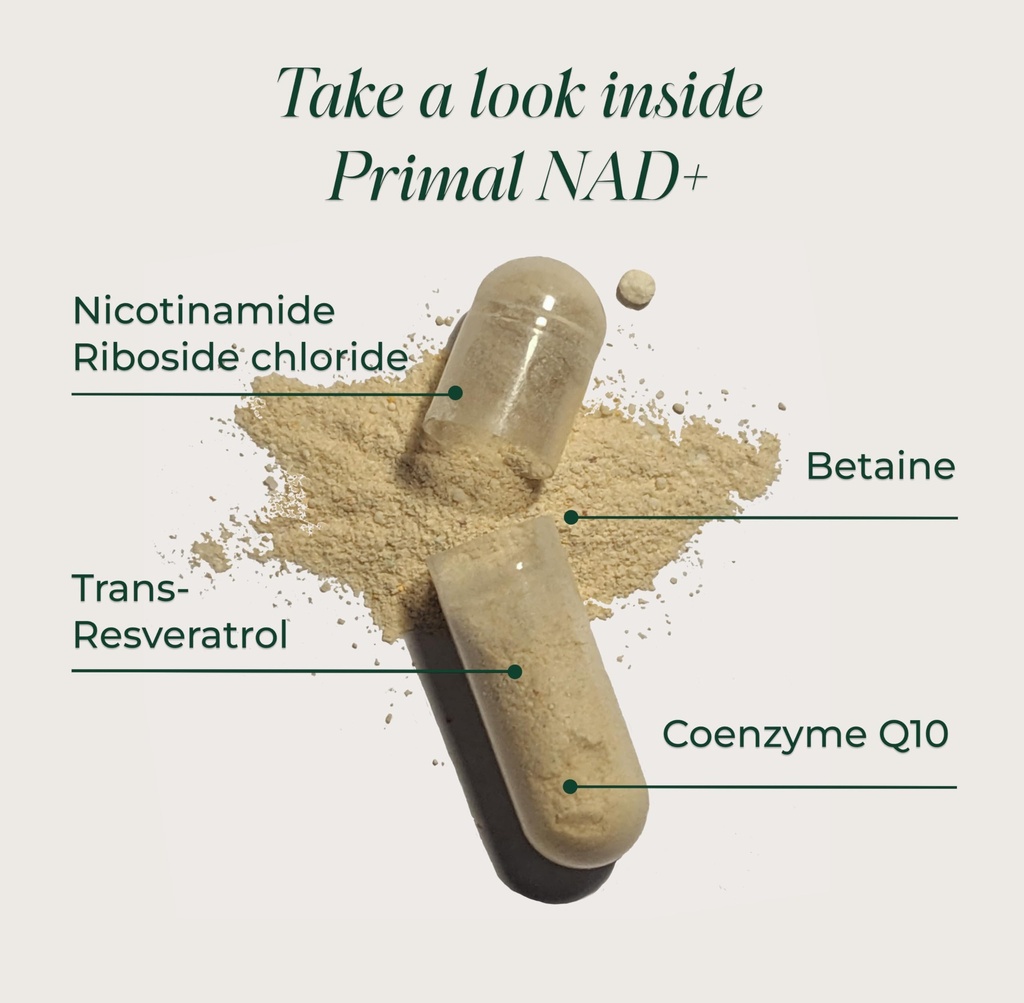 primal-harvest-nad-supplement-nicotinami-3.jpg