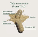 primal-harvest-nad-supplement-nicotinami-3.jpg
