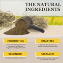 equerry-s-selenium-and-vitamin-e-supplem-4.jpg