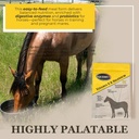 equerry-s-selenium-and-vitamin-e-supplem-3.jpg