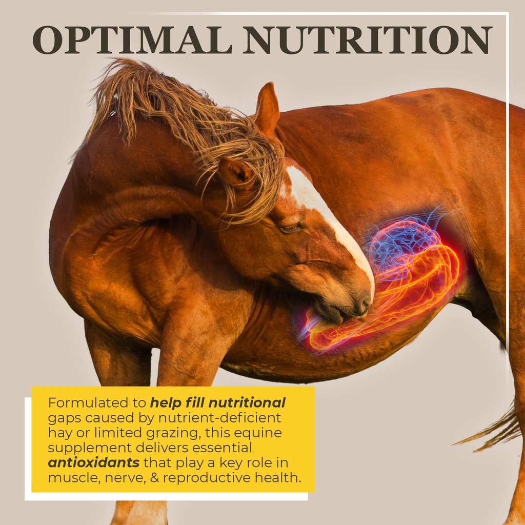 equerry-s-selenium-and-vitamin-e-supplem-2.jpg
