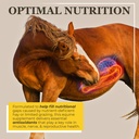 equerry-s-selenium-and-vitamin-e-supplem-2.jpg