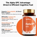 choline-supplement-with-choline-bitartra-6.jpg