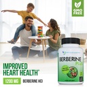 doctor-recommended-supplements-berberine-4.jpg