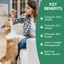 holistic-bin-canine-chicken-blend-protei-2.jpg