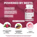 organic-beet-root-capsules-natural-beet--4.jpg