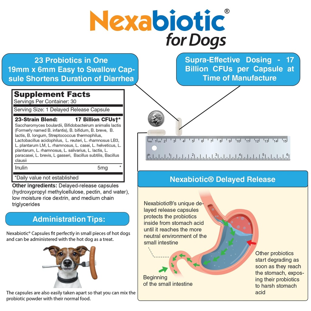 drformulas-probiotics-for-dogs-puppies-p-6.jpg
