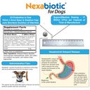 drformulas-probiotics-for-dogs-puppies-p-6.jpg