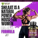 shilajit-capsules-1000-mg-pure-shilajit--2.jpg