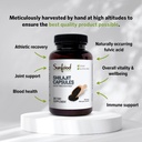 sunfood-superfoods-raw-shilajit-capsules-4.jpg