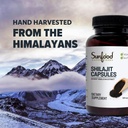 sunfood-superfoods-raw-shilajit-capsules-6.jpg