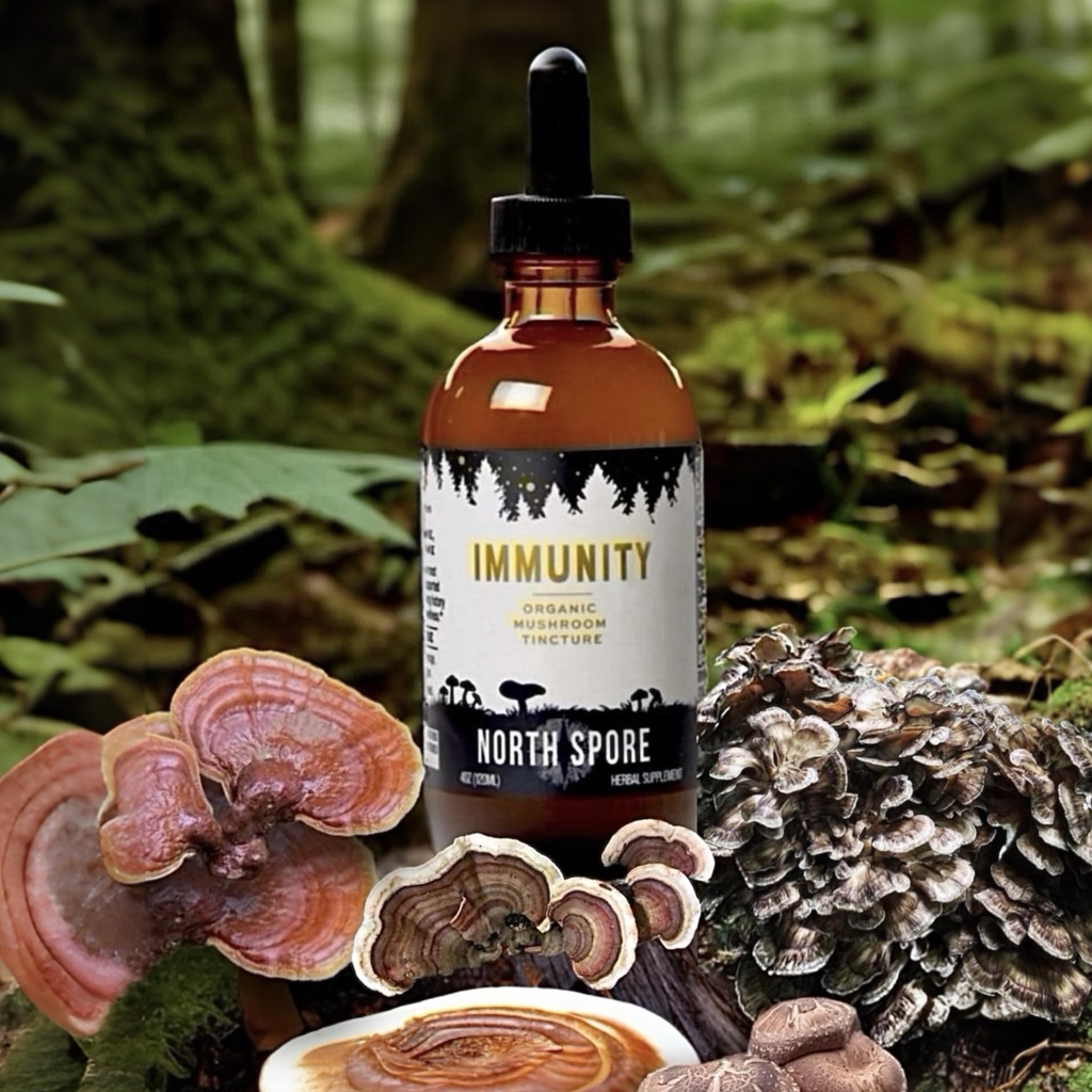 north-spore-organic-immunity-mushroom-ti-6.jpg