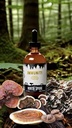 north-spore-organic-immunity-mushroom-ti-5.jpg