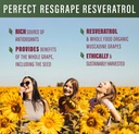 perfect-supplements-perfect-resgrape-res-4.jpg