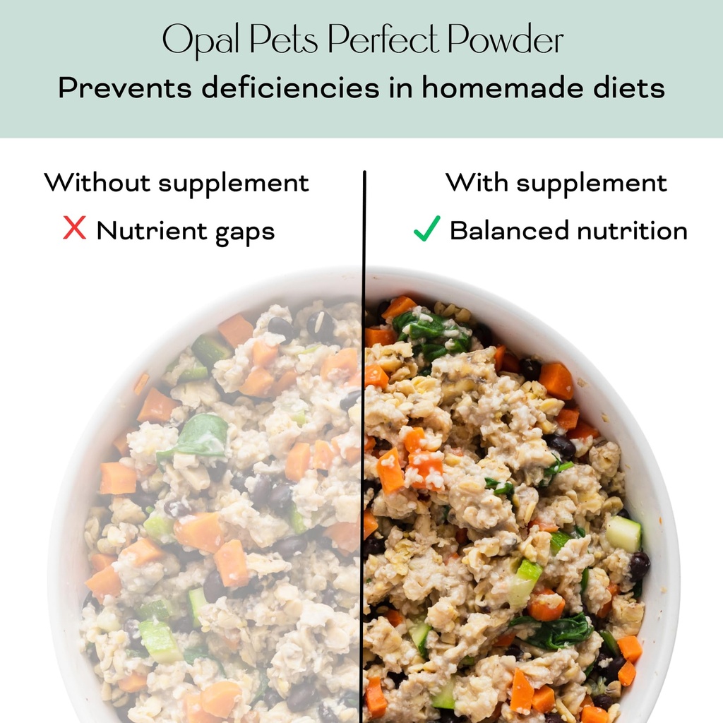 perfect-powder-multivitamin-for-homemade-4.jpg