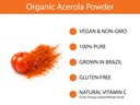 koyah-organic-acerola-powder-freeze-drie-4.jpg