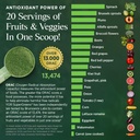 yor-supergreens-green-powder-high-antiox-5.jpg