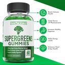 atlantis-nutrition-sugar-free-prebiotic--3.jpg