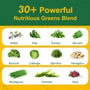 greens-daily-gummies-sugar-free-super-gr-4.jpg