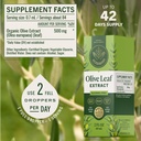 herbamama-olive-leaf-extract-liquid-immu-3.jpg