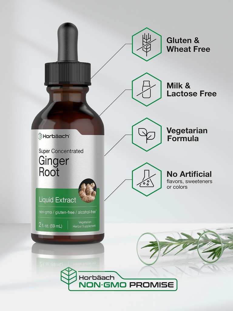 horb-ach-ginger-root-extract-liquid-2-oz-4.jpg
