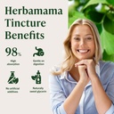 herbamama-ginkgo-biloba-supplements-brai-5.jpg
