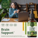 herbamama-ginkgo-biloba-supplements-brai-2.jpg