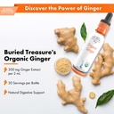 buried-treasure-ginger-drops-made-with-o-3.jpg