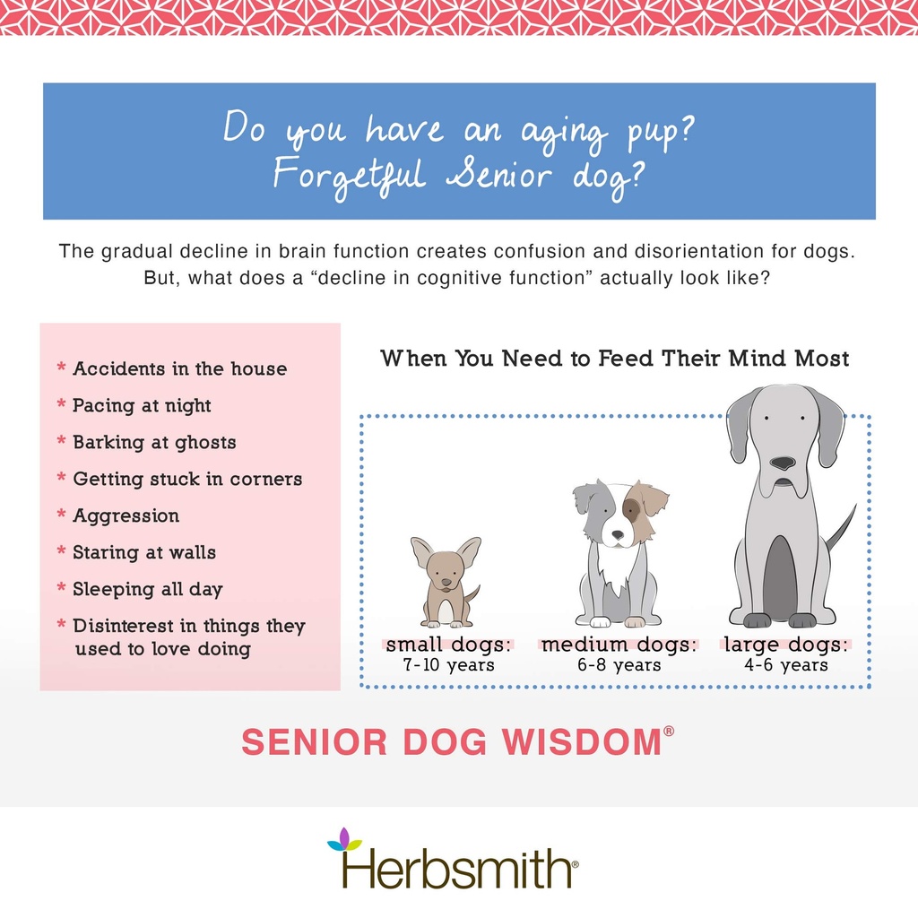 herbsmith-senior-dog-wisdom-dog-dementia-4.jpg