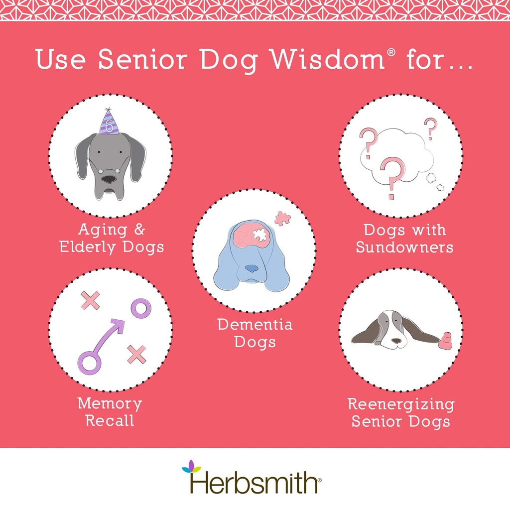 herbsmith-senior-dog-wisdom-dog-dementia-2.jpg