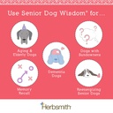 herbsmith-senior-dog-wisdom-dog-dementia-2.jpg