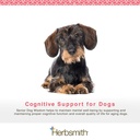 herbsmith-senior-dog-wisdom-dog-dementia-3.jpg