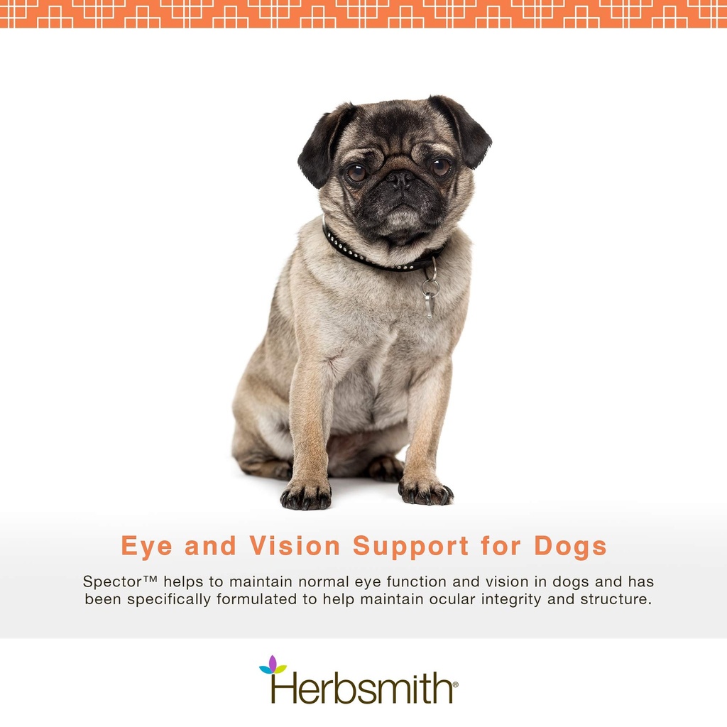 herbsmith-spector-eye-and-vision-support-2.jpg