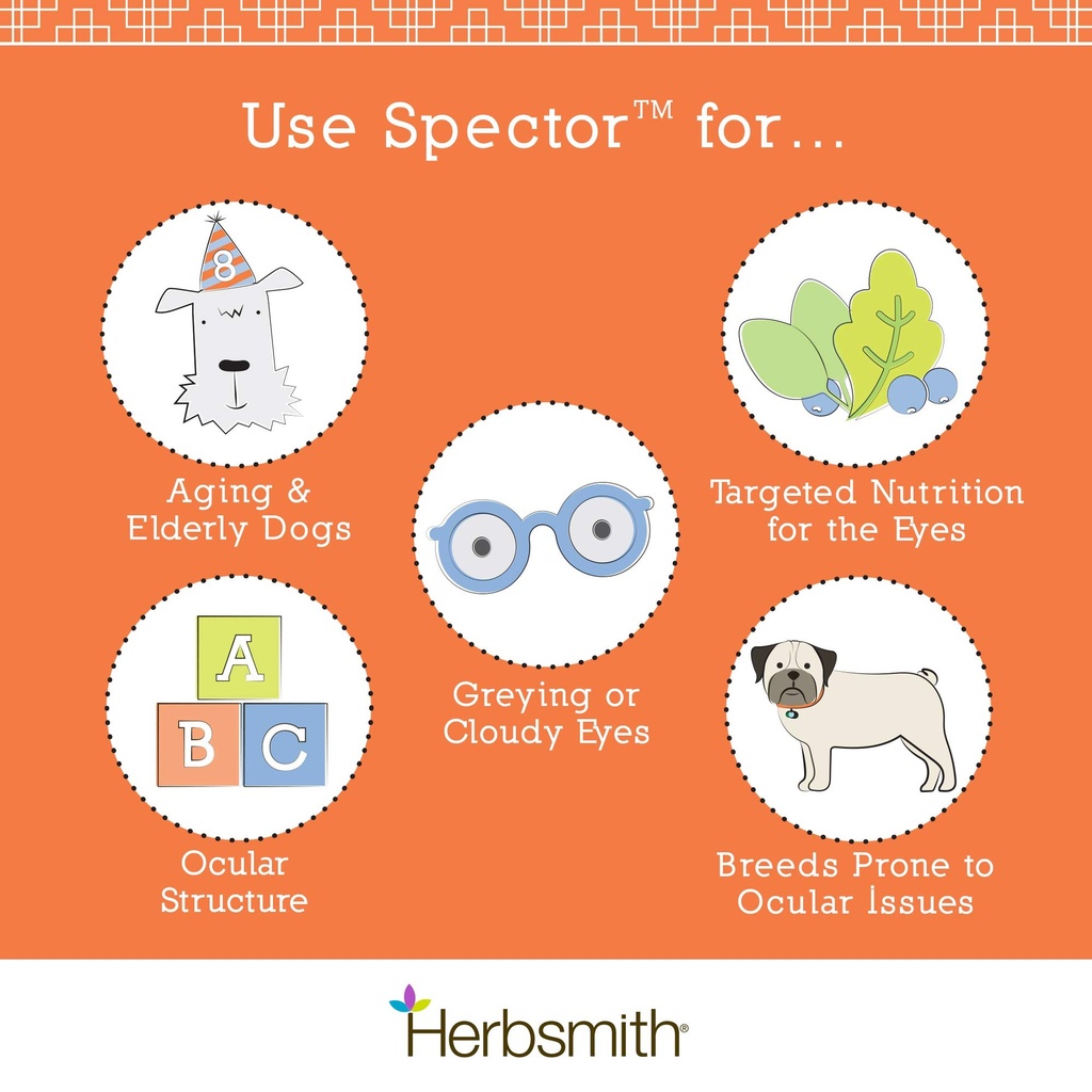 herbsmith-spector-eye-and-vision-support-5.jpg