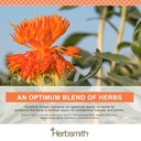 herbsmith-comfort-aches-herbal-pain-reli-3.jpg