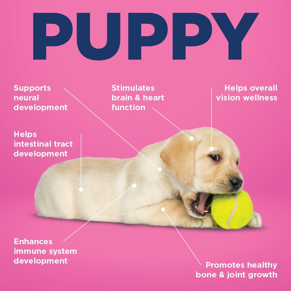 vetericyn-all-in-1-multifunctional-puppy-3.jpg